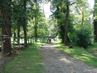 Holzrahmen zum Reiten 